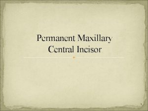 Permanent Maxillary Central Incisor 1 INTRODUCTION Human incisors