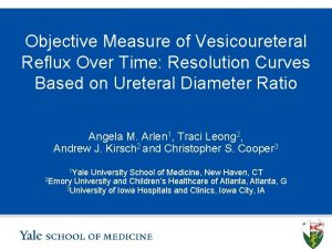 Objective Measure of Vesicoureteral Reflux Over Time Resolution