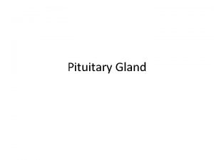 Pituitary Gland PITUITARY GLAND In the 16 th
