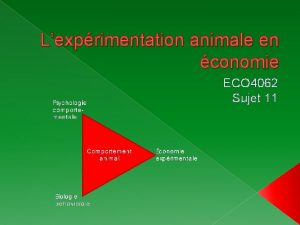 Lexprimentation animale en conomie ECO 4062 Sujet 11