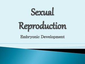 Sexual Reproduction Embryonic Development OVERVIEW Embryonic Development early