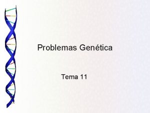 Problemas Gentica Tema 11 Tema 8 Herencia Mendeliana