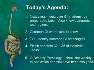 Todays Agenda 1 Next class quiz over GI