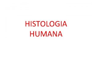 HISTOLOGIA HUMANA TECIDO EPITELIAL CARACTERSTICAS Clulas de varias