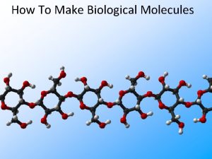 How To Make Biological Molecules Macromolecules Smaller organic