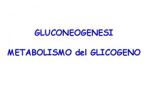 GLUCONEOGENESI METABOLISMO del GLICOGENO Gluconeogenesi epatica biosintesi di