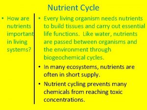 Nutrient Cycle How are Every living organism needs