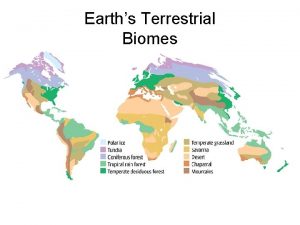 Earths Terrestrial Biomes Temperate Deciduous Forest Average Yearly
