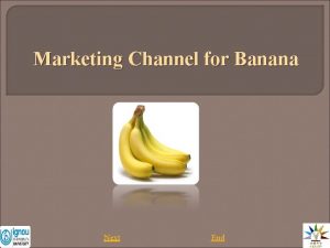 Marketing Channel for Banana Next End Marketing Channel
