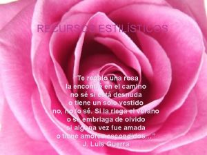 RECURSOS ESTILSTICOS Te regalo una rosa la encontr