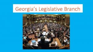 Georgias Legislative Branch 1 What power does Georgias