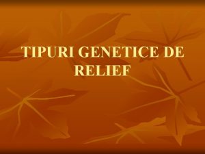 TIPURI GENETICE DE RELIEF RELIEF FLUVIATIL n n