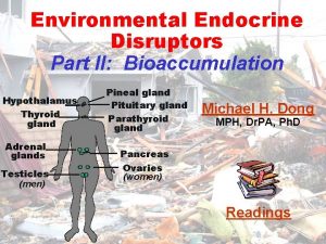 Environmental Endocrine Disruptors Part II Bioaccumulation Hypothalamus Thyroid