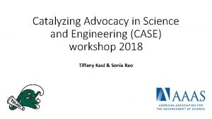 Catalyzing Advocacy in Science and Engineering CASE workshop