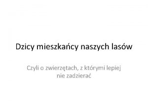 Dzicy mieszkacy naszych lasw Czyli o zwierztach z