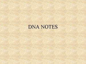 DNA NOTES DNA STRUCTURE DNA is constructed of