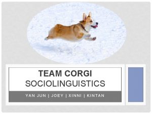 TEAM CORGI SOCIOLINGUISTICS YAN JUN JOEY XINNI KINTAN