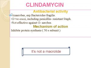 CLINDAMYCIN Antibacterial activity Anaerobes esp Bacteroides fragilis Gve