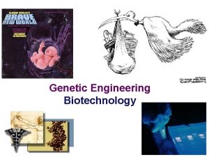 Genetic Engineering Biotechnology 2006 2007 We have been