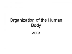 Organization of the Human Body APL 3 Body