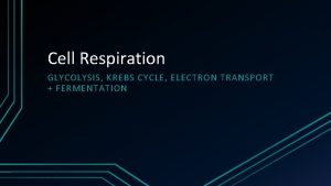 Cell Respiration GLYCOLYSIS KREBS CYCLE ELECTRON TRANSPORT FERMENTATION