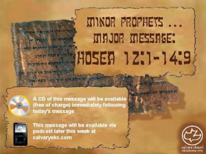 Minor Prophets Major Message Hosea 12 1 14