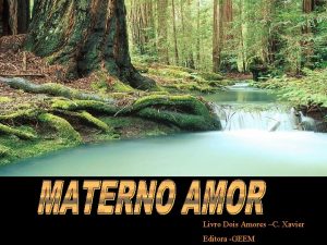 Livro Dois Amores C Xavier Editora GEEM A