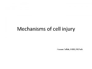 Mechanisms of cell injury Hussam Telfah MBBS FRCPath