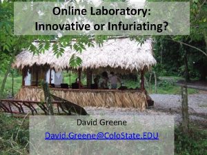 Online Laboratory Innovative or Infuriating David Greene David