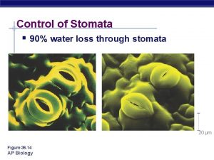 Control of Stomata 90 water loss through stomata