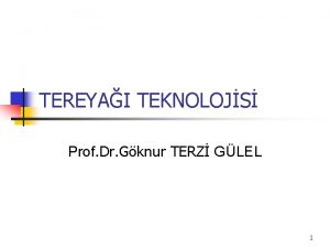 TEREYAI TEKNOLOJS Prof Dr Gknur TERZ GLEL 1