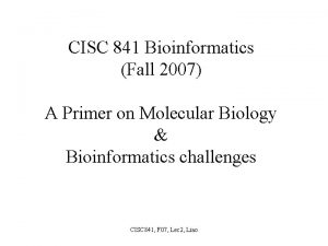 CISC 841 Bioinformatics Fall 2007 A Primer on