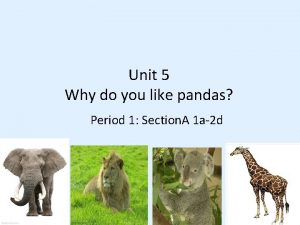 Unit 5 Why do you like pandas Period