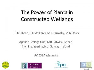 The Power of Plants in Constructed Wetlands C