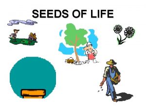 SEEDS OF LIFE ENDURING UNDERSTANDING Seeds are living