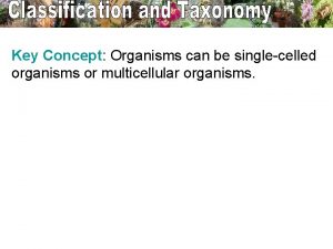 Key Concept Organisms can be singlecelled organisms or