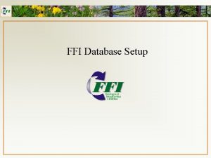 FFI Database Setup FFI Database Setup Discussion Organizational