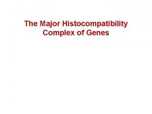 The Major Histocompatibility Complex of Genes Topic 4