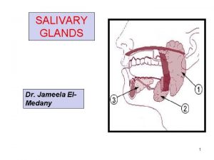 SALIVARY GLANDS Dr Jameela El Medany 1 OBJECTIVES