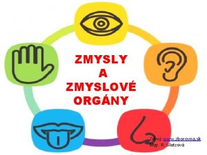 ZMYSLY A ZMYSLOV ORGNY Zdroj www zborovna sk