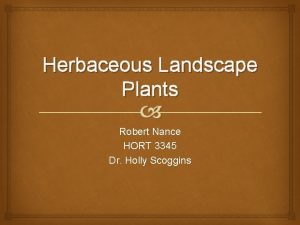 Herbaceous Landscape Plants Robert Nance HORT 3345 Dr
