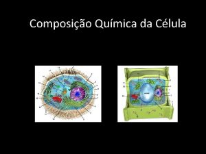 Composio Qumica da Clula Composio Qumica da Clula