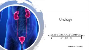 Urology Dr Mariam Choudhry Anatomy Kidneys ureter bladder