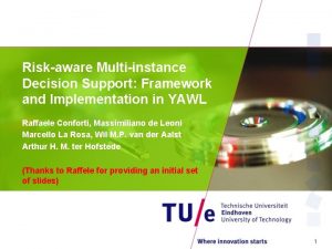 Riskaware Multiinstance Decision Support Framework and Implementation in