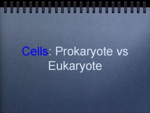 Cells Prokaryote vs Eukaryote Prokaryote cells are smaller