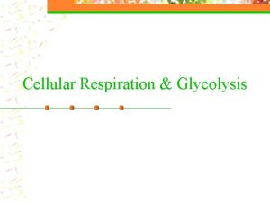 Cellular Respiration Glycolysis Overview of Cellular Respiration n