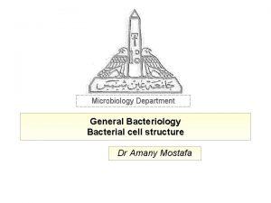 Microbiology Department General Bacteriology Bacterial cell structure Dr