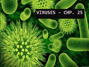 VIRUSES CHP 25 Pathogen any organism that causes