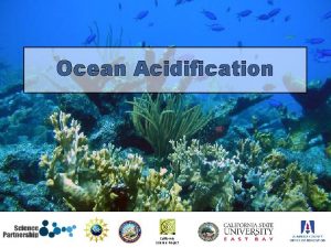 Ocean Acidification NOAA California Science Project Ocean acidification