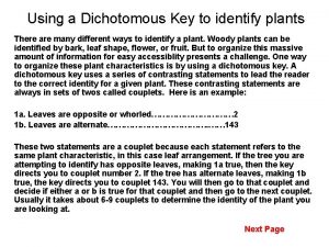 Using a Dichotomous Key to identify plants There
